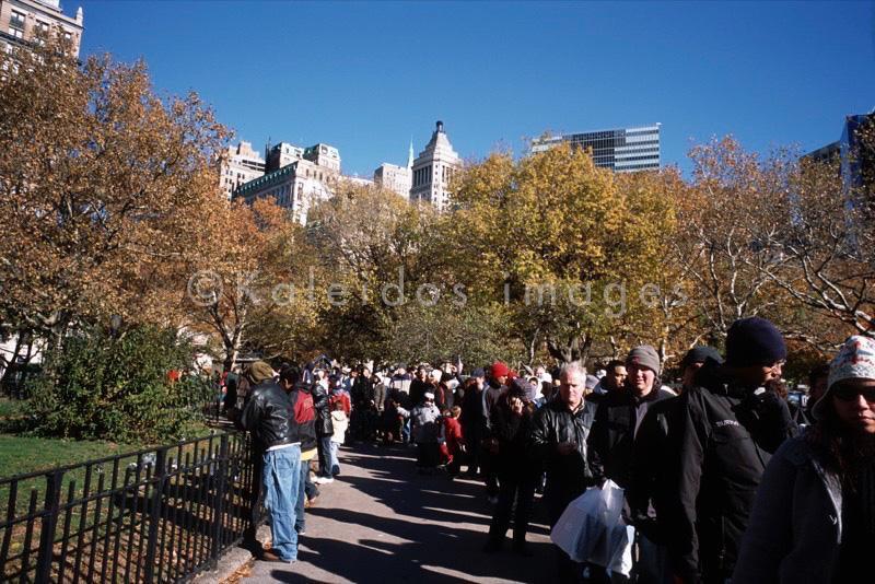 Kaleidos;Kaleïdos;New York CITY;NYC;People;Persons;Plants;Tarek Charara;Trees;United States of America;USA;Manhattan;La parole à l'image